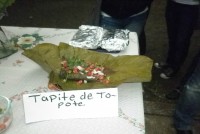 /album/fotogaleria/p1010592-jpg/